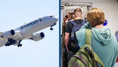 American Airlines Boarding Gate Lice