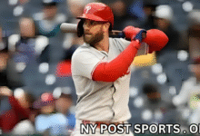 Bryce Harper News