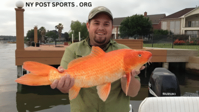 Can You Eat Goldfish