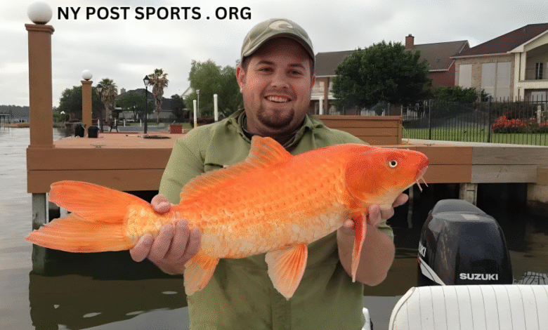 Can You Eat Goldfish