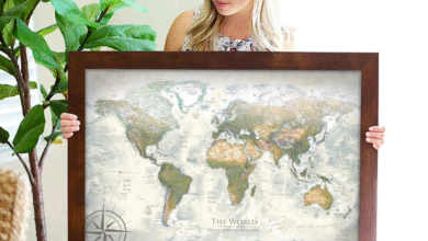 Framed World Map with Pins