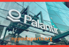 Palantir Logo